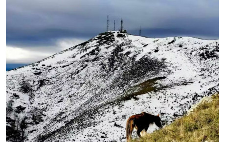 Hivernale du Baigura (64) – 01/02/26